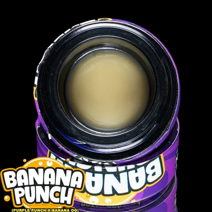 BANANA PUNCH LIVE ROSIN 1G - 1 G